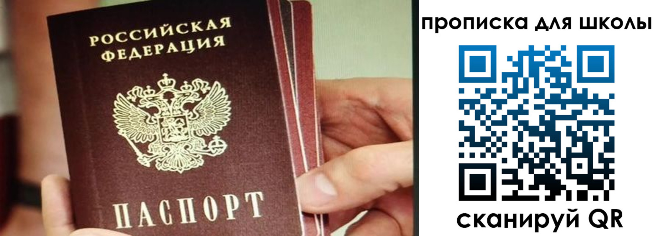прописка гарантия в Ульяновске